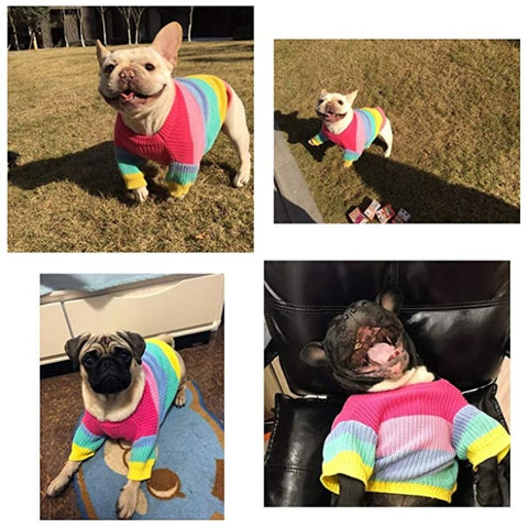 Blusa colorida para cachorros