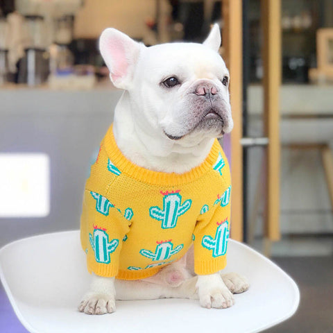 blusa de tricô para cachorro