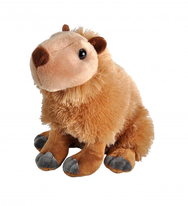 Capybara Soft Toy – Taronga Zoo Shop