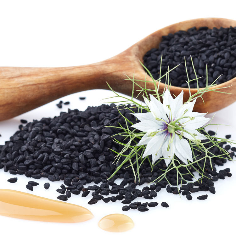 Black Seed Oil • Enerex Nutritional Supplements – Enerex.ca