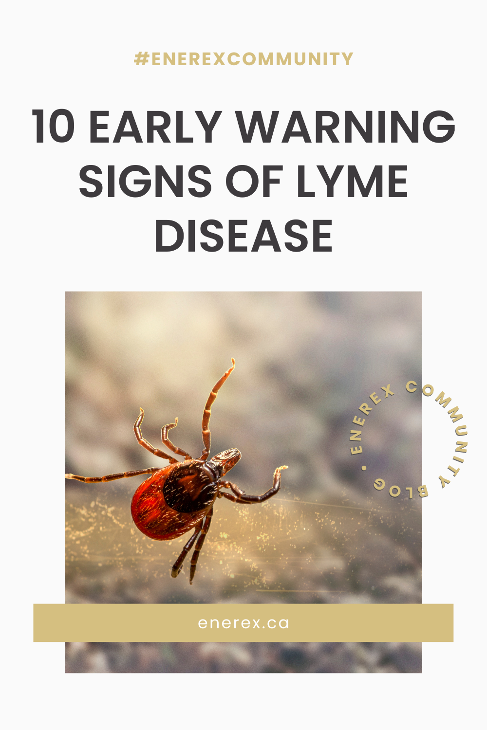 Don't Ignore These 10 Early Warning Signs of Lyme Disease – Enerex ...