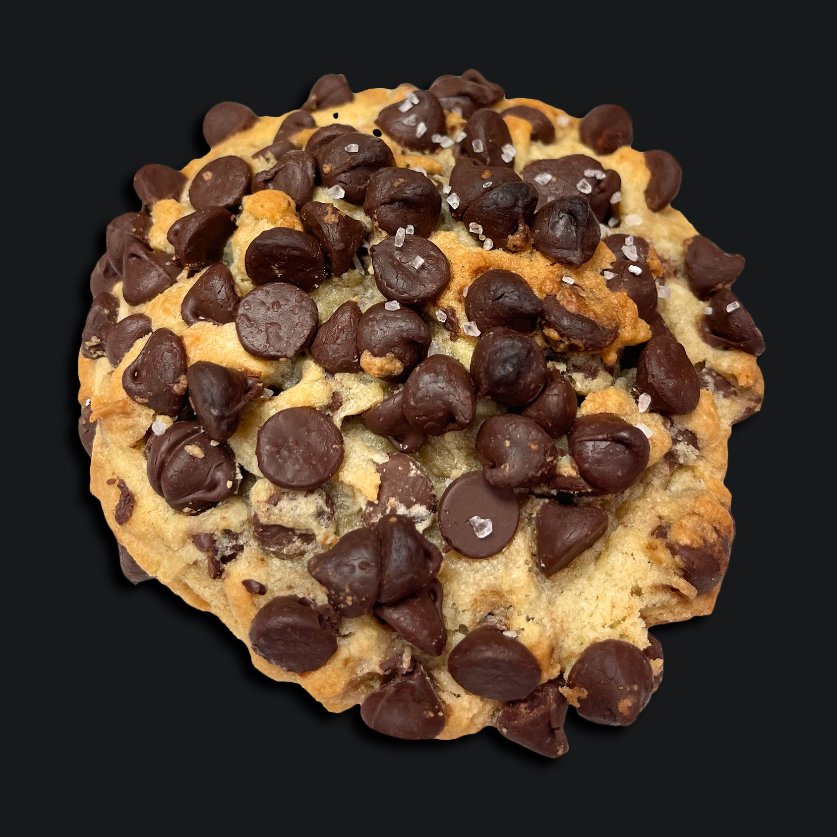 Chocolate Chip