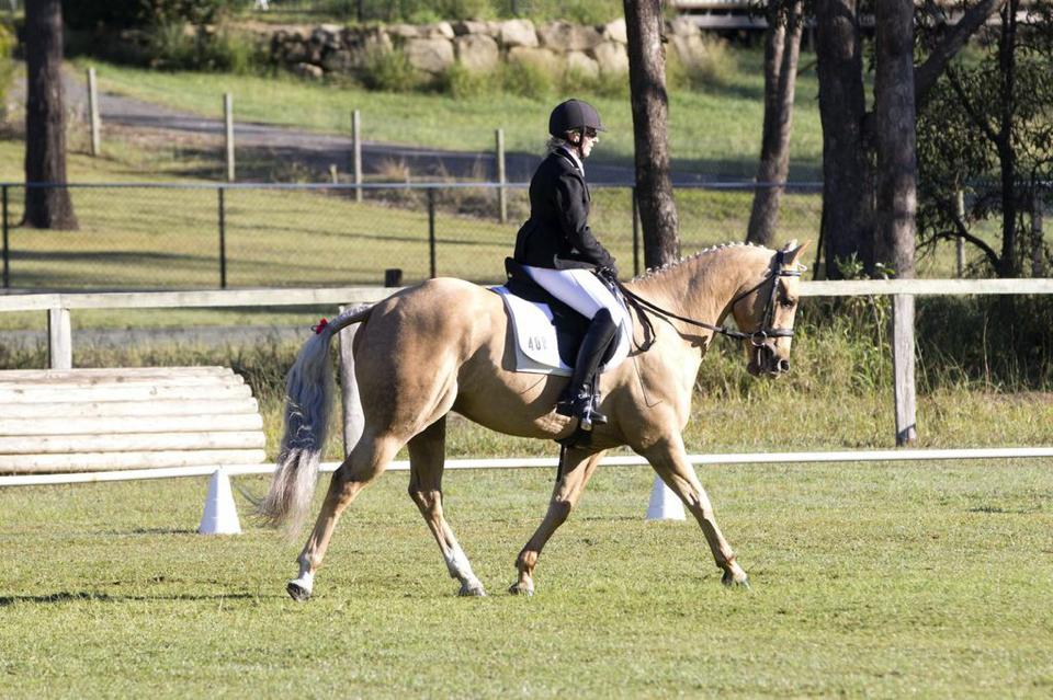 Bailey on Rose-Hip Vital Equine