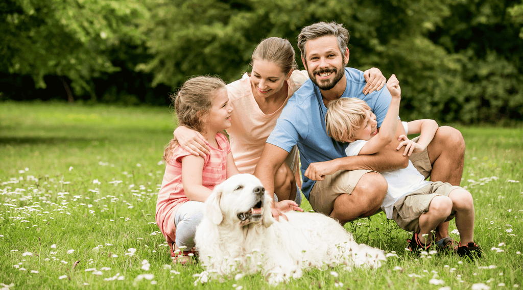 A happy family sitting in the park with their dog, benefitting from Rose-Hip Vital for Canines