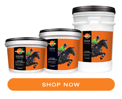 Rose-Hip Vital Equine Shop Now