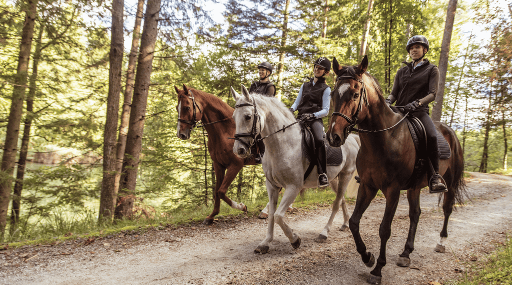 a group of horse riders riding on their horses