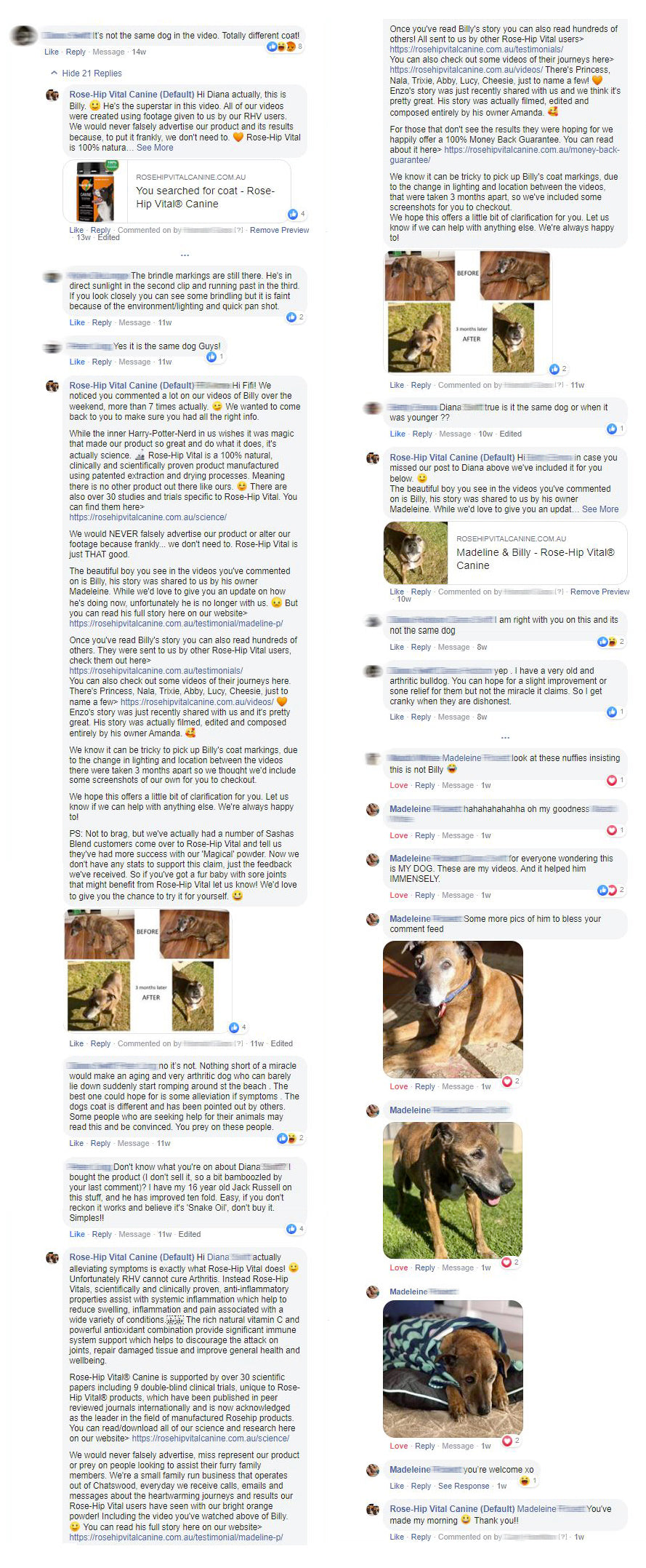 Facebook conversation Billy Rose-Hip Vital Canine