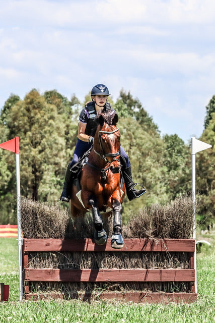 Gus on Rose-Hip Vital Equine