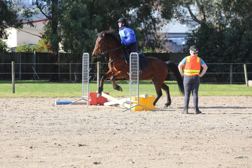 Toby on Rose-Hip Vital Equine