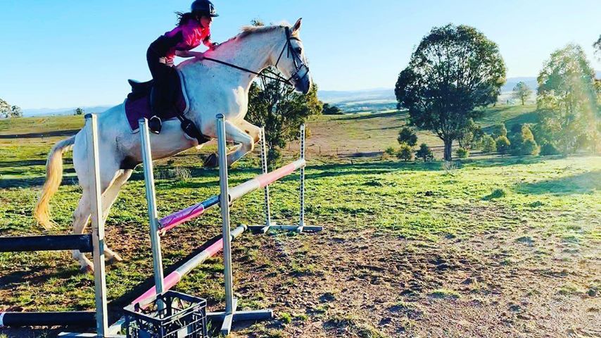 Tutu on Rose-Hip Vital Equine