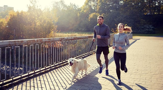 Couple is jogging with their canine pet