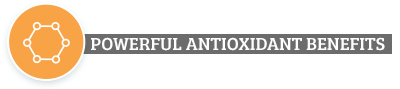 Six Reasons Why? Antioxidants