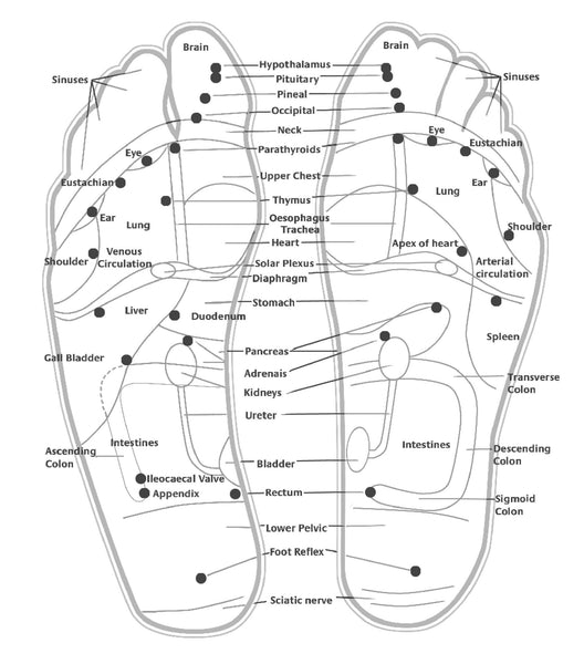reflexology foot map @ bodytox detox your world