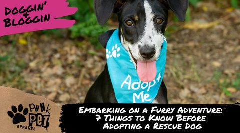 7 Things To Know Before Adopting A Rescue Dog Blog - Rescue Dog with Adopt Me on Bandana