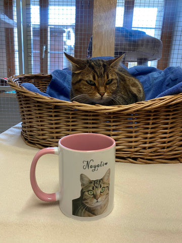 Katze mit Tasse