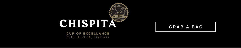 Chispita, Cup Of Excellence