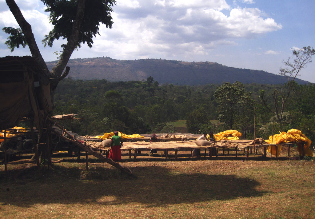 Yirgacheffe Homa, fairtrade, ethiopia