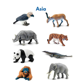 Miniature South American Animal Figurines Replicas - Mini Action Figures -  Miniature Animal Playset - Continent Box
