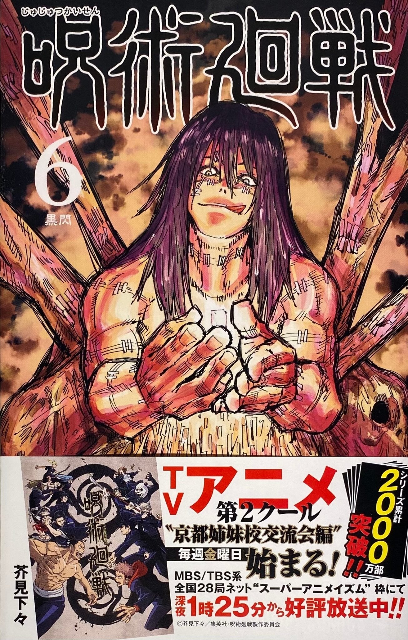 Jujutsu Kaisen - Tome 20 - Édition Limitée - (20 Pins Spéciaux)– JapanResell