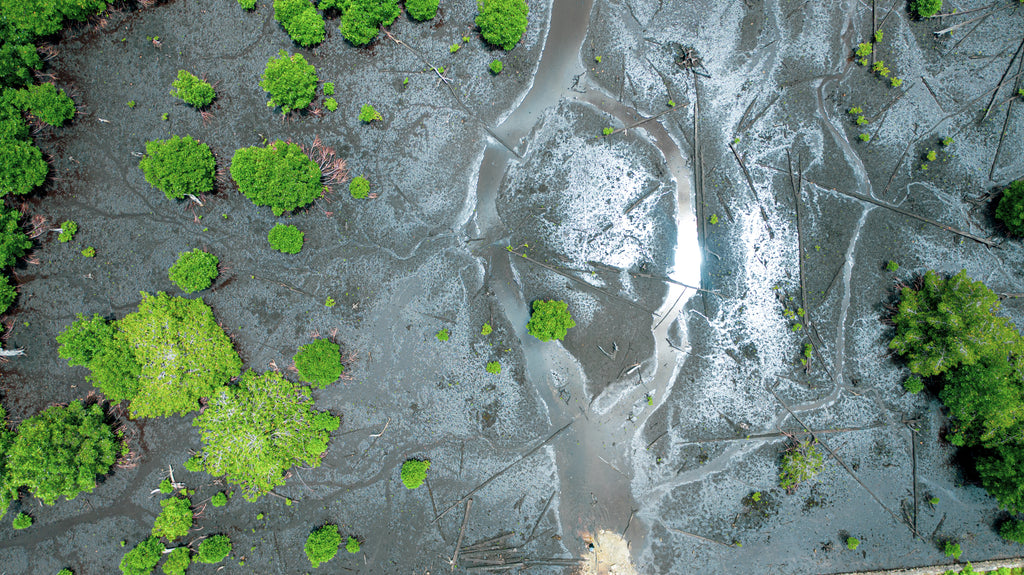 Overhead view of the Biak Region in Indonesia