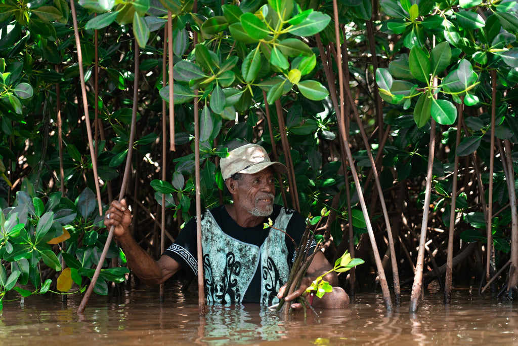 SeaTrees planting mangroves in Indonesia with locals