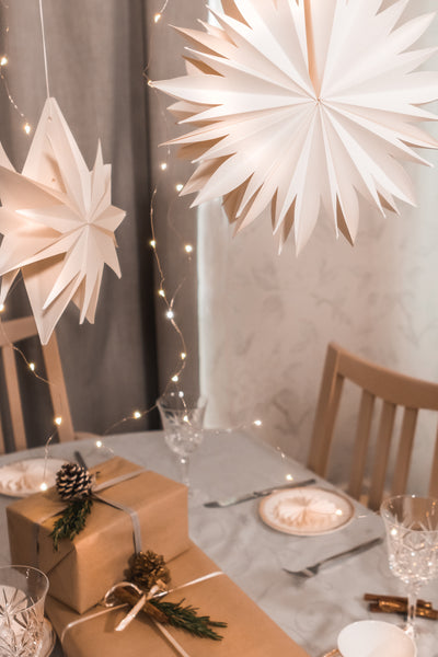 Christmas Table Decoration (Setting Ideas and Inspiration)
