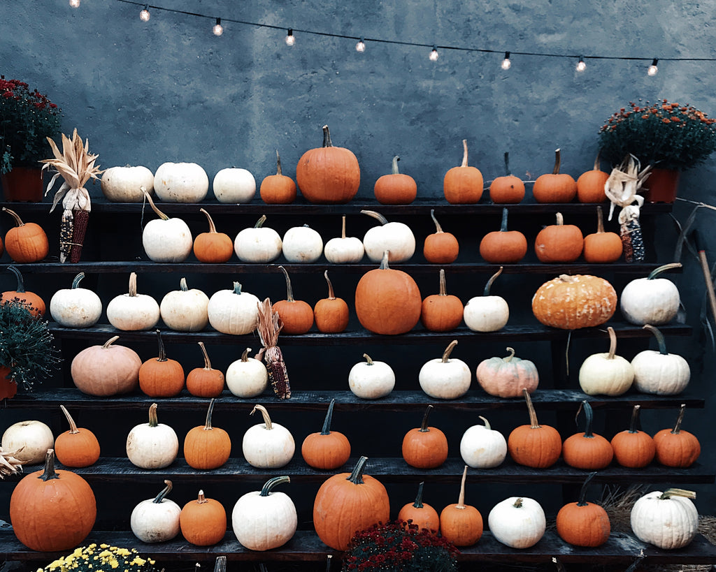 Pumpkins - Halloween 2022 Decorating Ideas