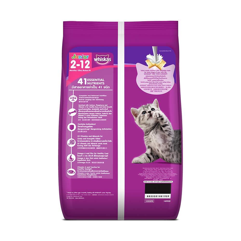 Online Cat Shop u0026 Supplies Store - Buy Cat Food u0026 Accessories 