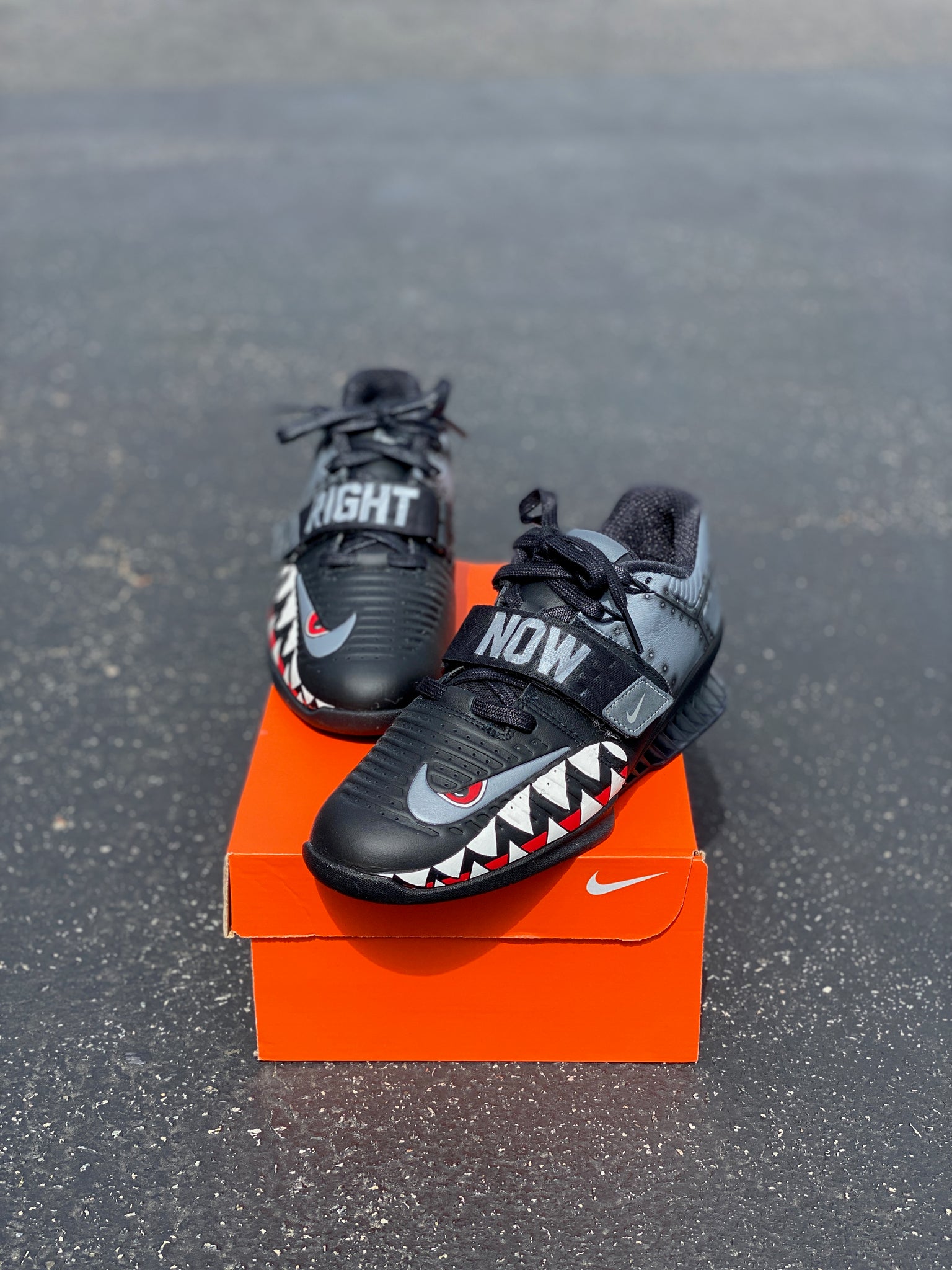 nike romaleos 4 custom