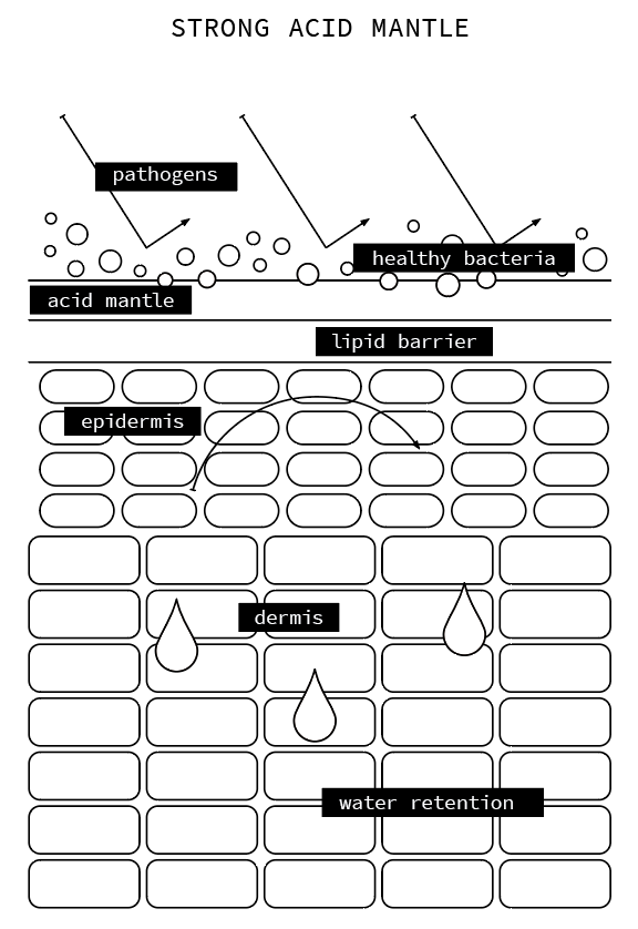 illustration of strong acid mantle