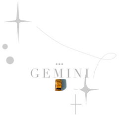 Gemini x Tiger's Eye