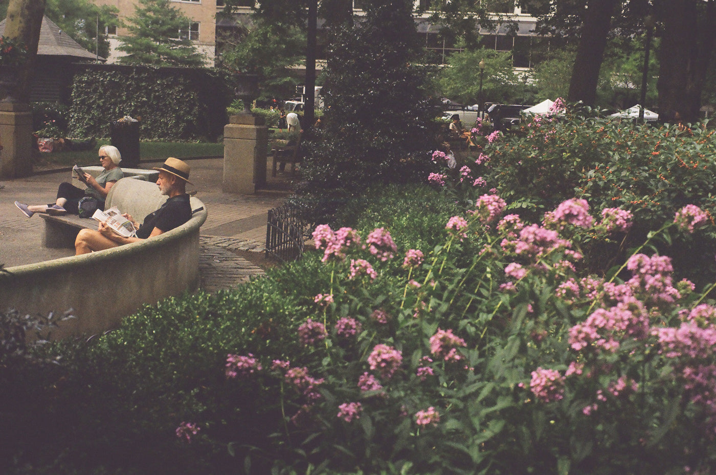 Photograph of flowers and people in Rittenhouse Park in Philadelphia