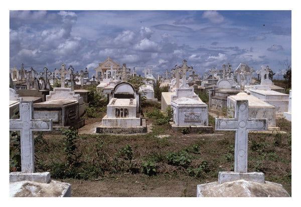 Photograph of graveyard