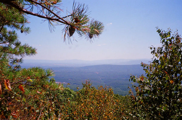 Photograph of a natural visa through some trees