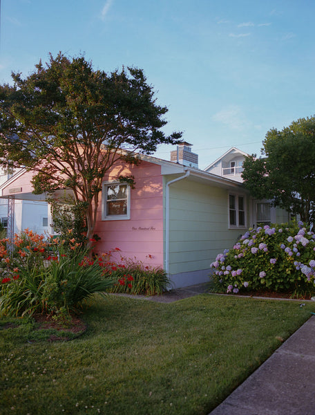 Photograph of pink house with flowering landscaping surrounding it