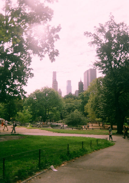 Photograph of a city park