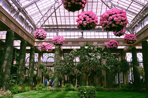 Photograph of conservatory at Longwood Gardens
