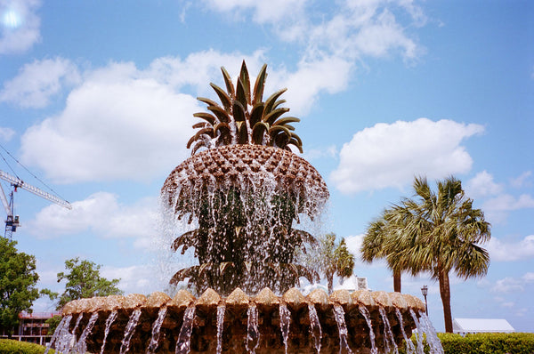 Photograph of fountain in tropical location