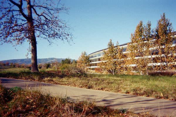 Photograph of pathway near Apple headquarters