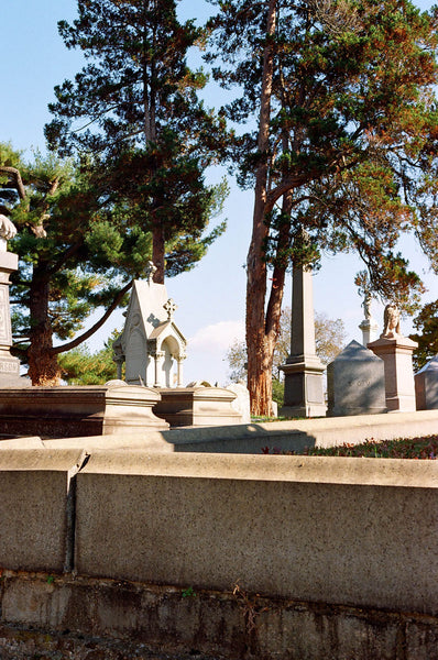 Photograph of a gravesite