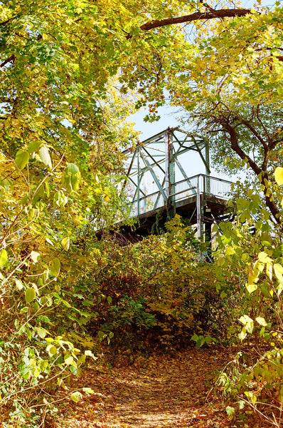 Photograph of a bridge through some trees