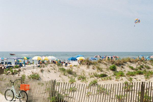 Photograph taken with a Konica Autoreflex TC of a beach and dunes