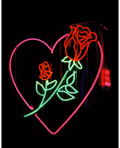 Photograph of neon heart and rose in a store window