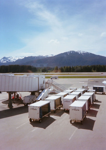 Photograph of luggage carts on an airport tarmac