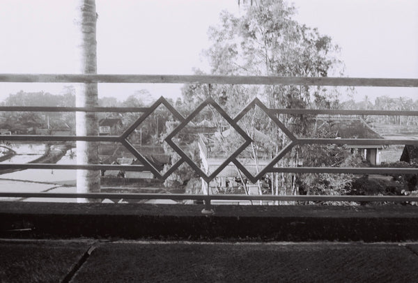 Photograph of fence