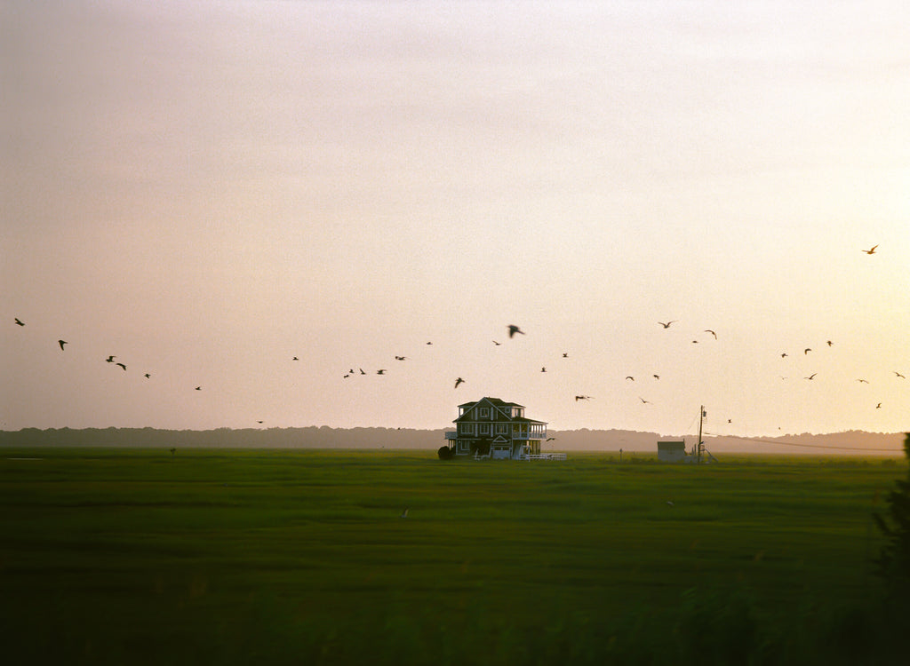 Sunset landscape home with birds