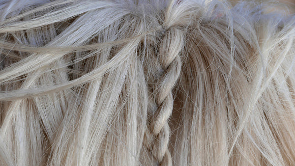 Up close photograph of horse's mane