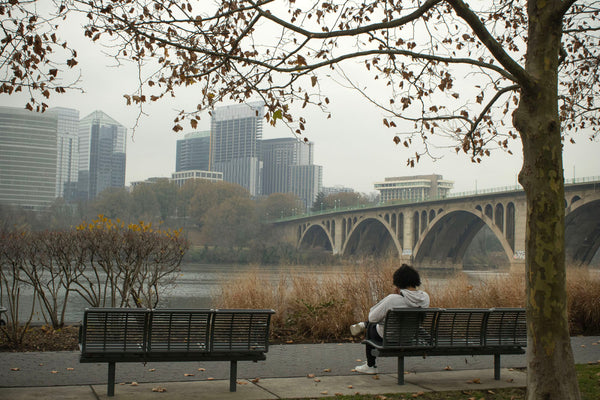 Photograph of someone sitting on a bench overlooking water and bridge