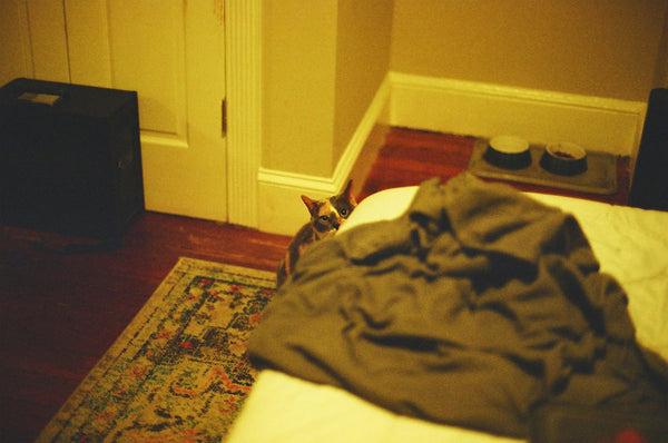 Photograph of a cat peering around the corner of a bed