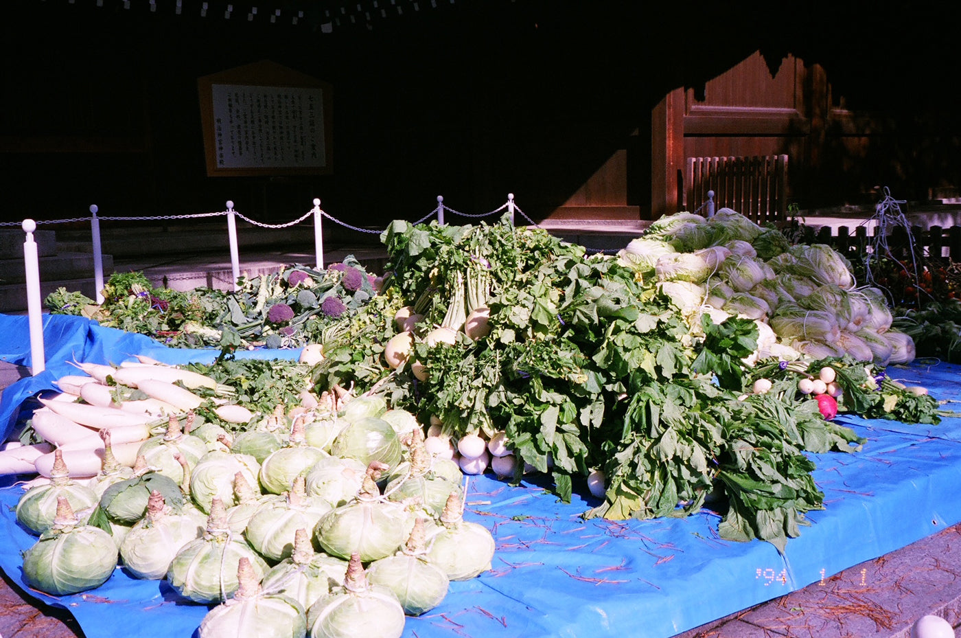 Photograph of vegetables sitting on a table in Tokyo